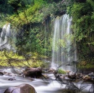 Meet your Posher, Teresa